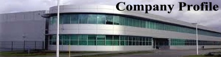 The Company Profile